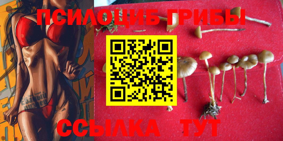 Псилоцибиновые грибы мухоморы  Вход с VPN  Тобольск 